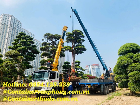 Thuê xe cẩu tại Hà Nội