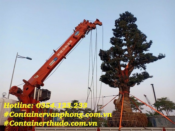 Dịch vụ xe cẩu tại Hà Nội